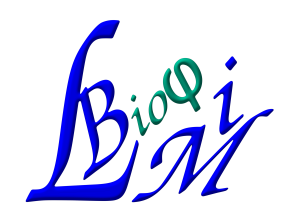 logo_LBMI