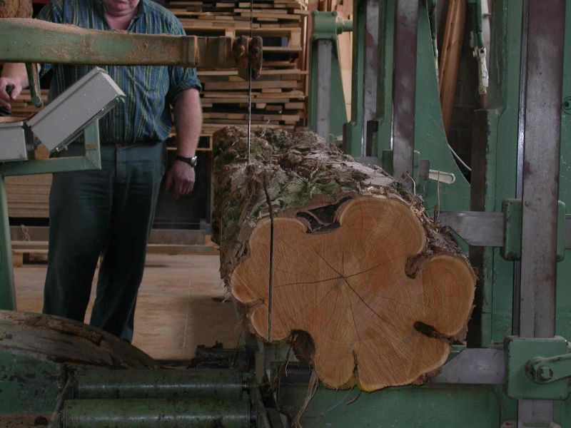 C.Pollet_caractéristiques du bois de robinier