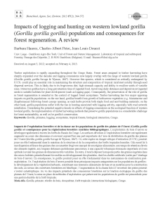 Haurez et al. Logging hunting gorilla_PR2013