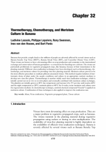 Lassois_Thermotherapy, Chemotherapy, and Meristem_2013