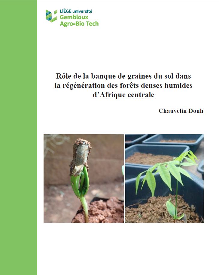 coverPhD_Douh Chauvelin