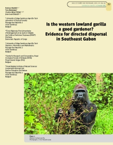 Haurez et al_Is the western lowland gorilla