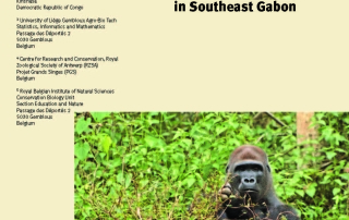 Haurez et al_Is the western lowland gorilla