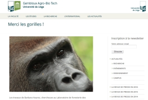 Haurez_merci les gorilles_janv2016