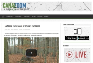 reportage_forêt de Soignes en danger