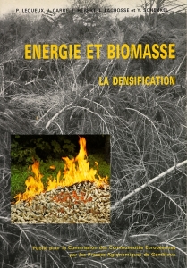 Energie et biomasse_la densification