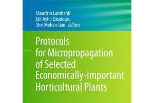 Protocols for Micropropagation of Selected Economicallyl_Livre