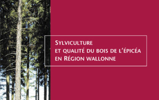 Sylviculture et qualité du bois de l'épicéa en Région Wallonne