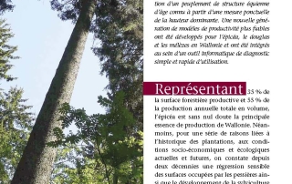 perin et al._fw_courbes de productivité
