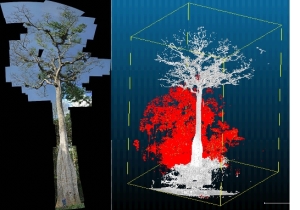 illust_rech bauwens_model3d
