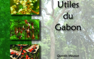 _les arbres utiles au Gabon
