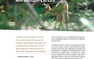 Candeal R._Diagnostique de l'équilibre Forêt_enclos_exclos