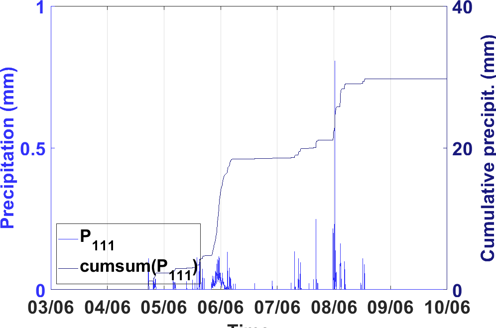 Time series of precipitation